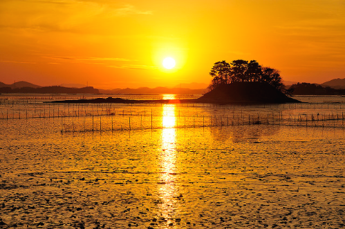 bed6e8e9ad45d8c8565609ef72db484a38238687