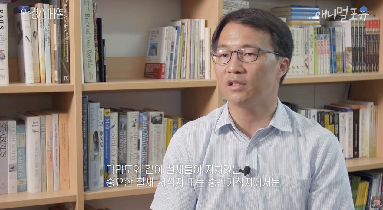 일부 몰지각한 캣맘들은 이 악물고 모른척하는 내용.jpg | 인스티즈