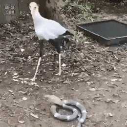 bef3df202776c1ac31c9064ea37df50923f5f022