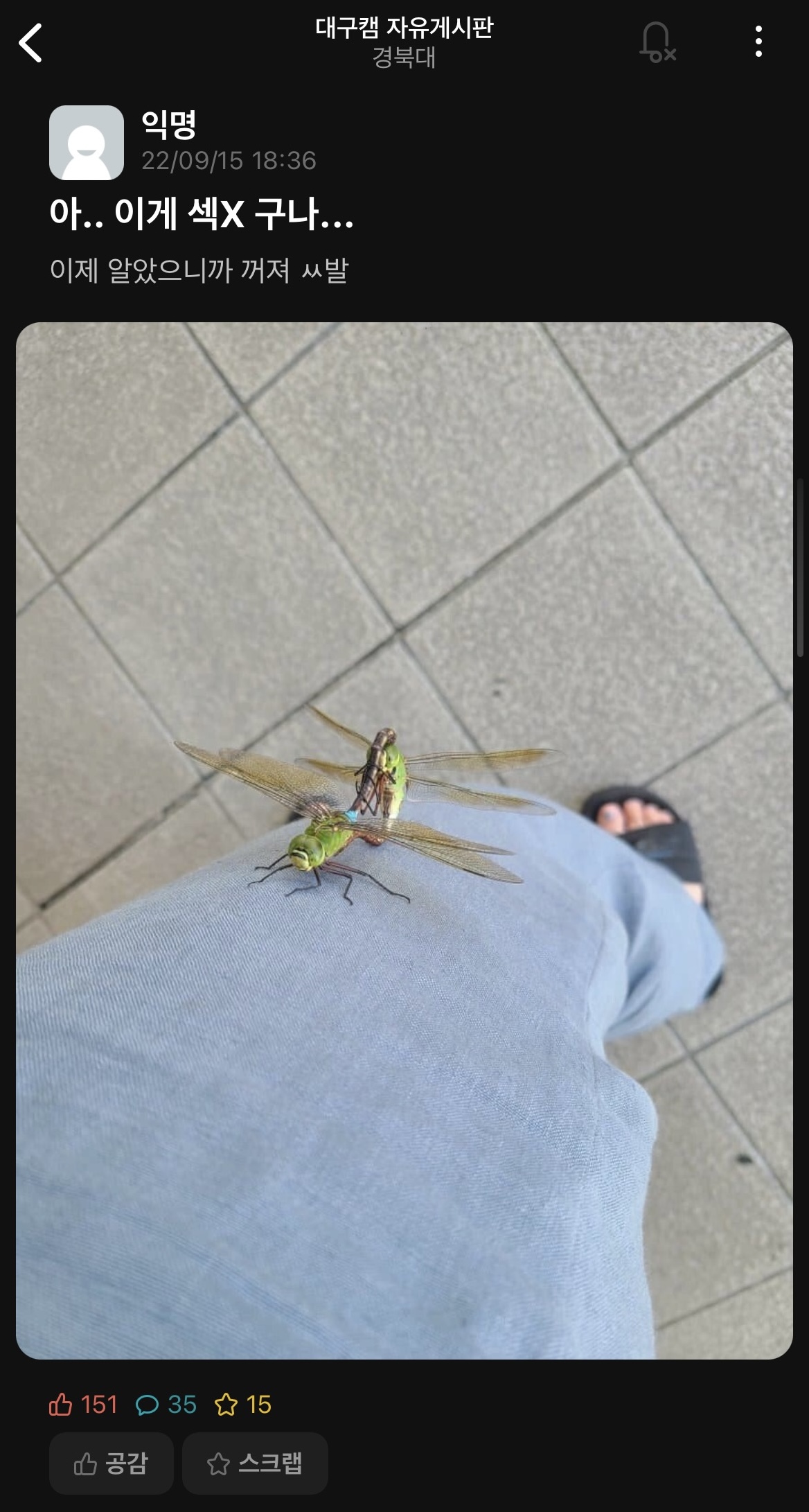 아.. 이게 섹X 구나... | 인스티즈