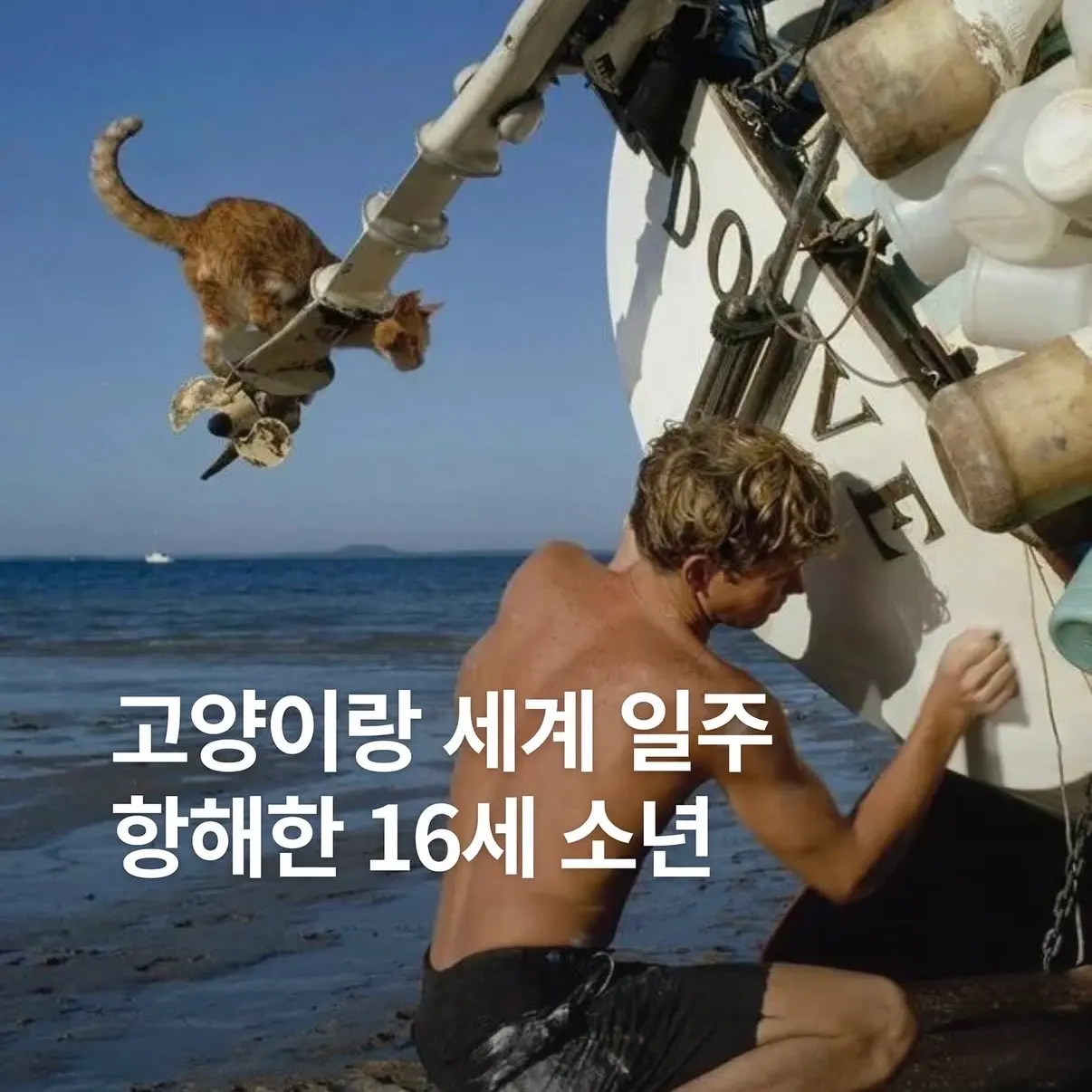 고양이랑 세계 일주 항해한 16세 소년 | 인스티즈