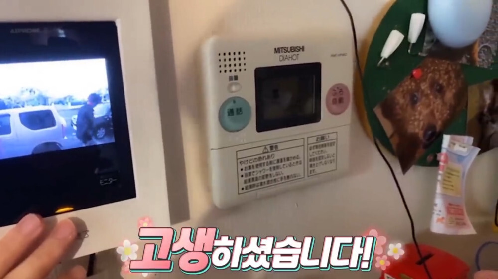 [스압주의] 일본인 캣맘 유튜버 2편 - 3천만원짜리 고양이 집 지음 | 인스티즈