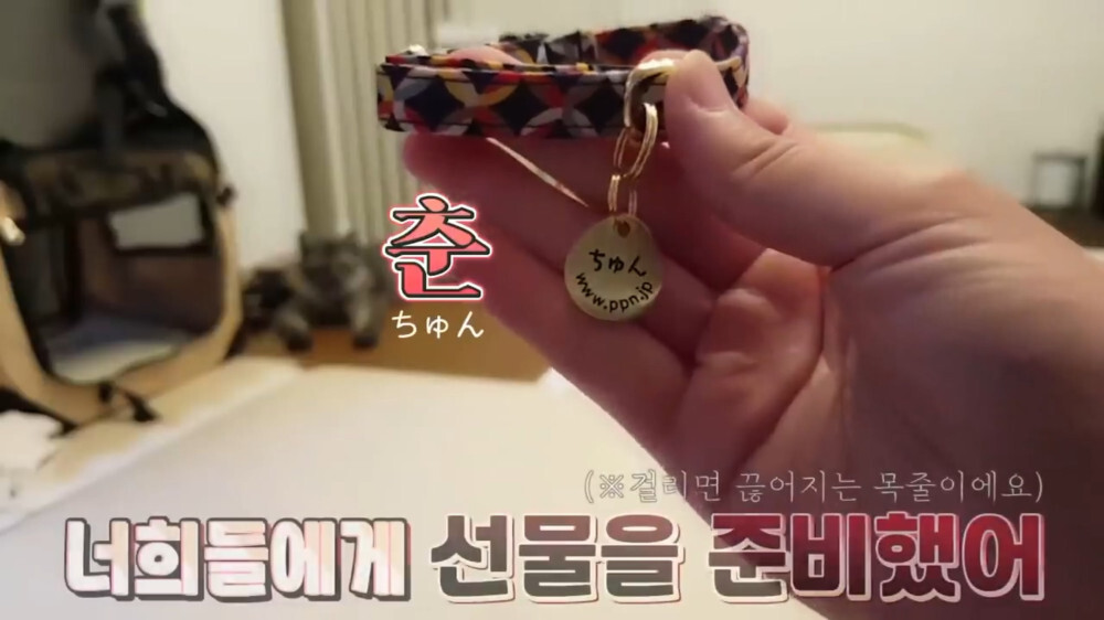 [스압주의] 일본인 캣맘 유튜버 2편 - 3천만원짜리 고양이 집 지음 | 인스티즈