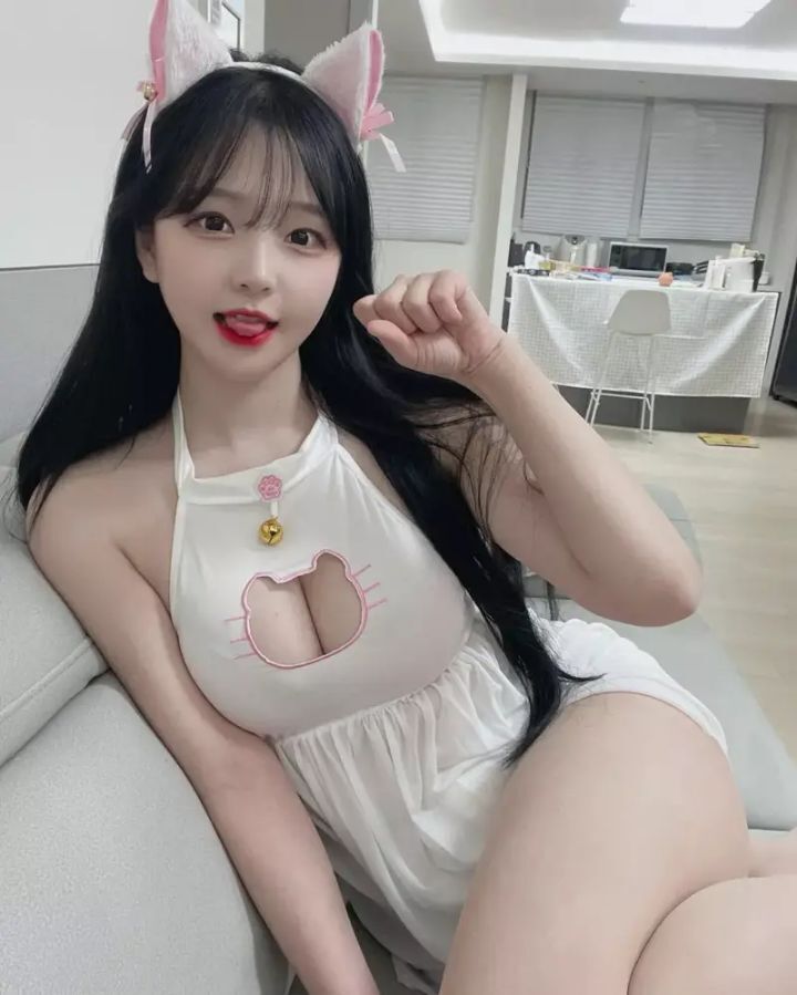 고양이 키울래? | 인스티즈