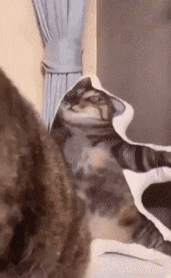 너는 이게 재밌냐 | 인스티즈