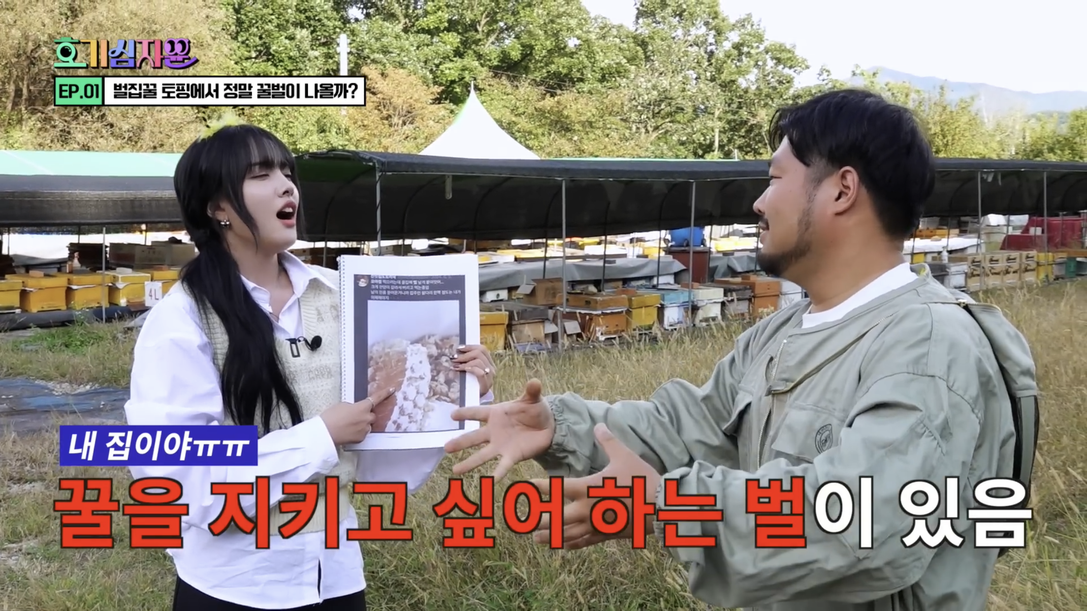 요거트 아이스크림 벌집꿀에서 나오는 벌의 정체............jpg | 인스티즈