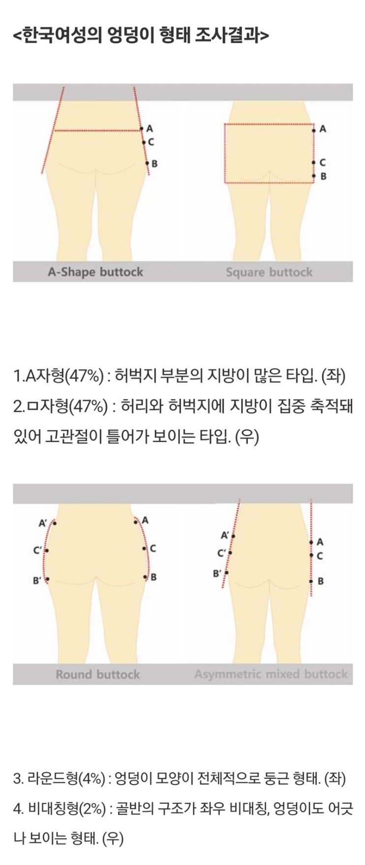 한국인 여성 엉덩이 모양 조사 결과 | 인스티즈