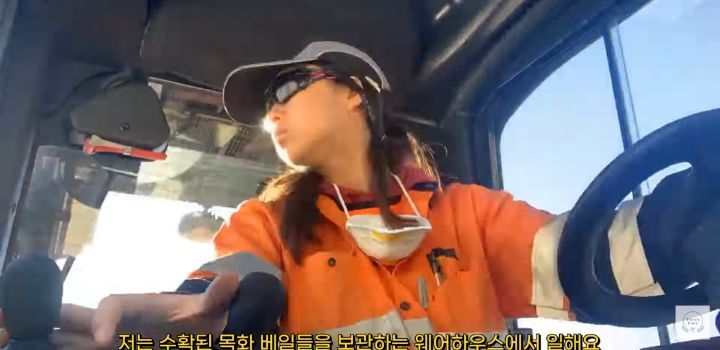 만 19살, 호주 워홀 가서 지게차로 월 500 번 유튜버 | 인스티즈