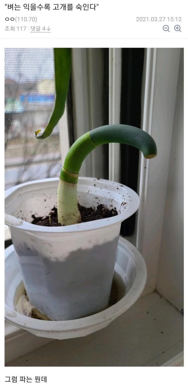 c069642b09ecb3e9ceb2337801fa6b12bb799ae9