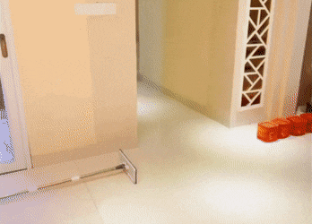 고양이가 먼저 달려간 이유 .gif | 인스티즈