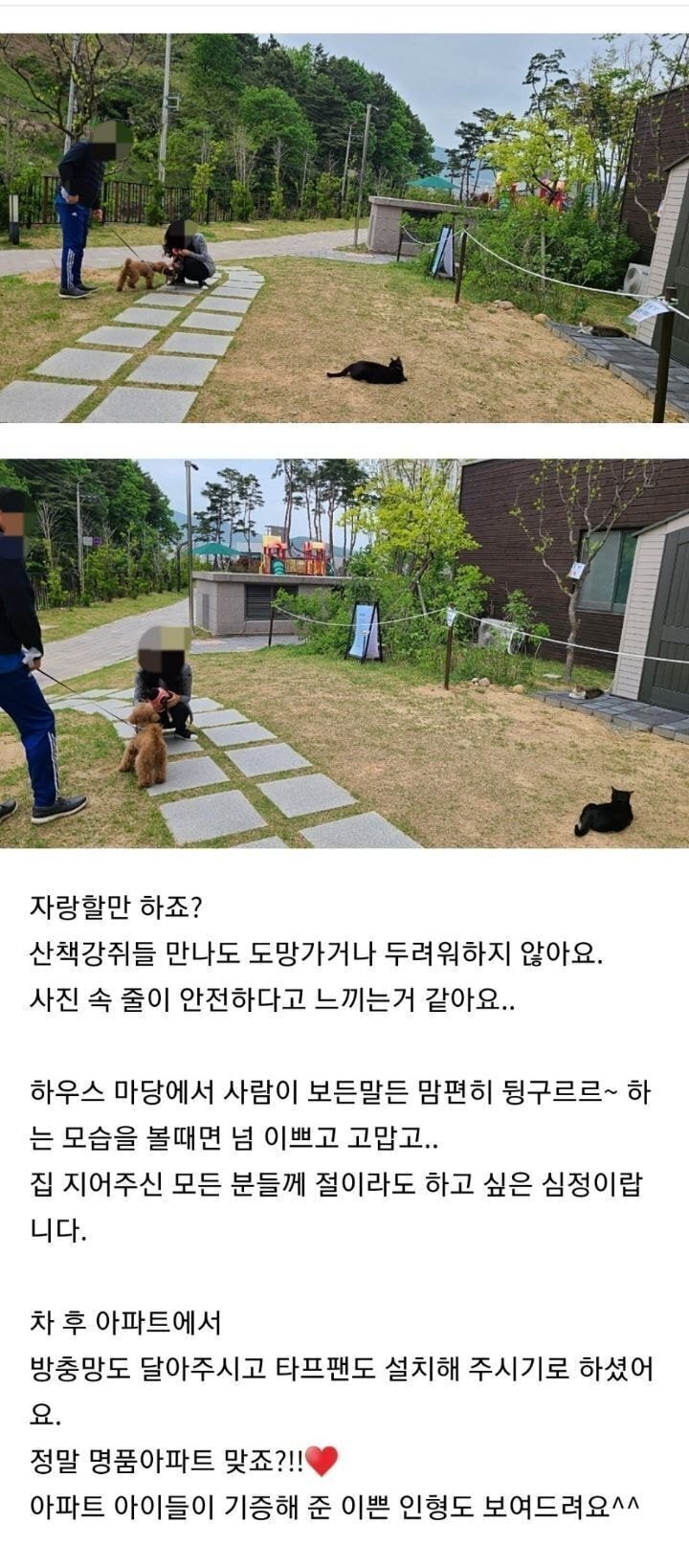 경남의 한 아파트의 길고양이 집.jpg | 인스티즈