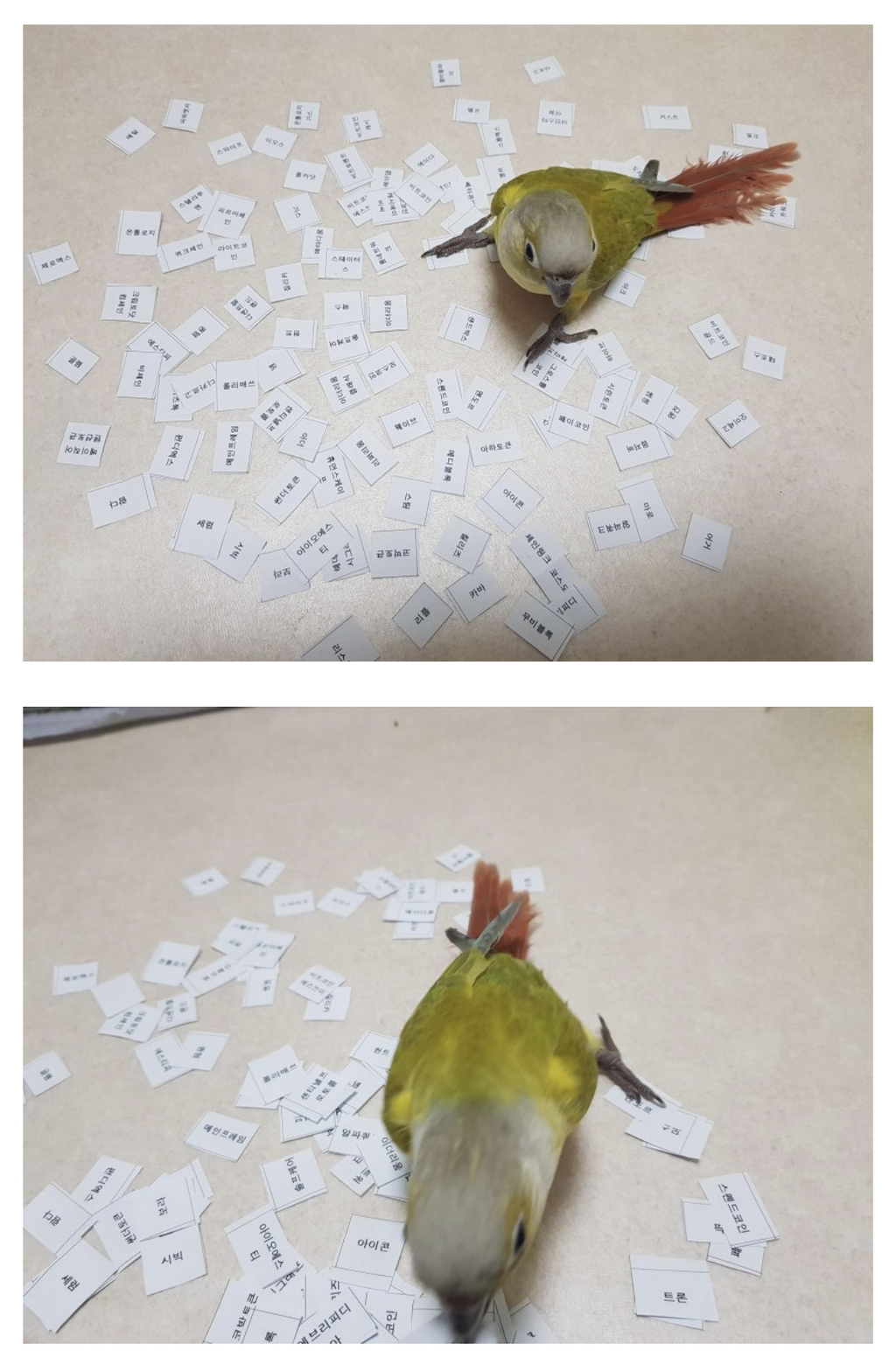 오늘자 비트코인갤 레전드 - 악플달면 쩌리쩌려버려 - ＊여성시대＊ 차분한 20대들의 알흠다운 공간