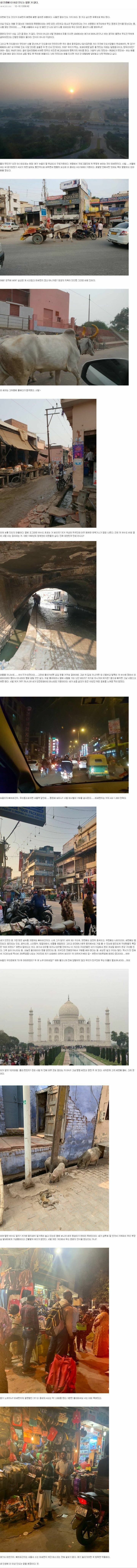 인도여행후기 | 인스티즈