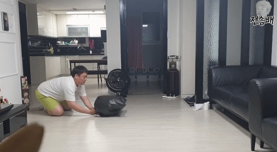 [몰카] 집안에 비둘기가 들어온다면? (진짜 비둘기는 안 나오니까 걱정 말아요) | 인스티즈