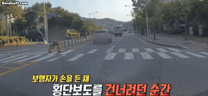 대한민국 도로 위 존재의미가 없는 것 | 인스티즈