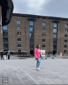 산책 거부하는 차우차우 | 인스티즈