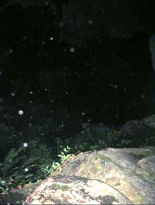 프론 크레머르스 실종사건 | 인스티즈