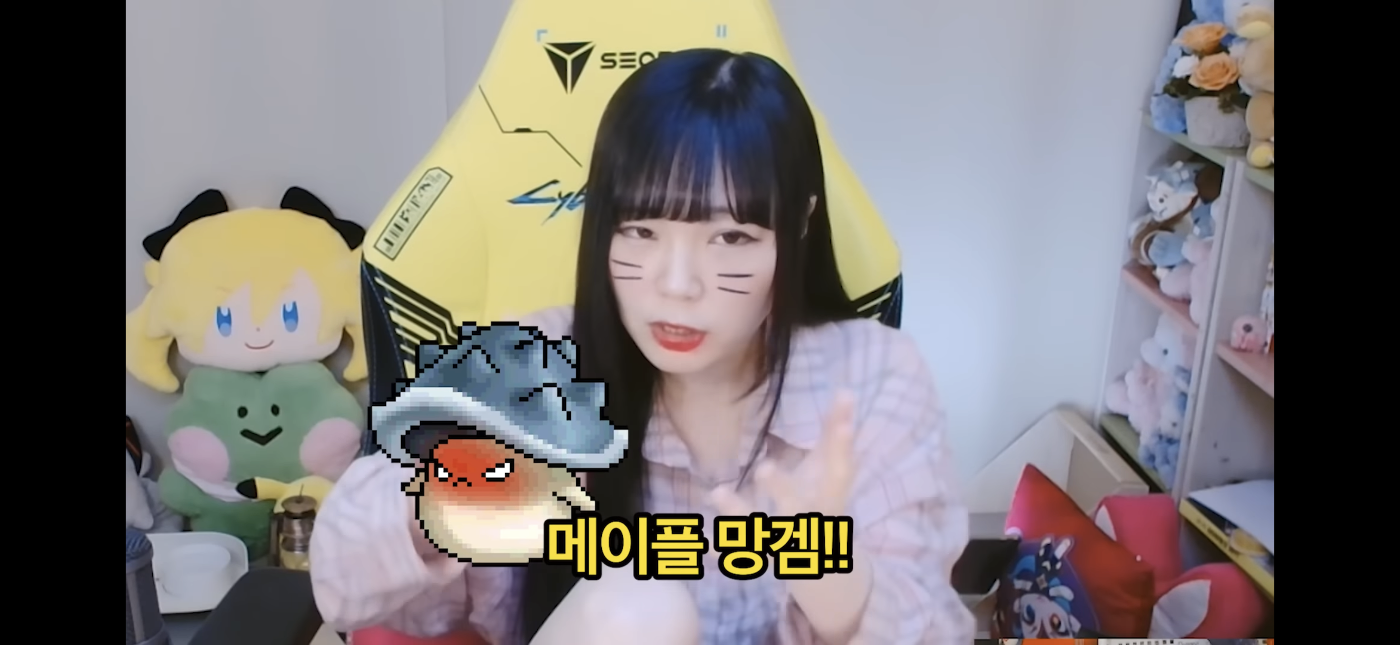 서새봄이 보는 메이플스토리 | 인스티즈