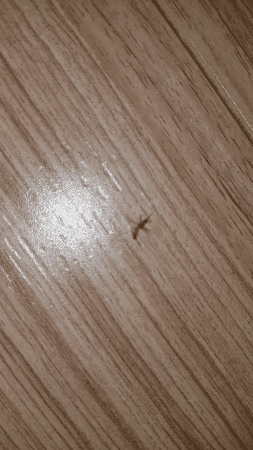 c13191ef6191800956bc51ac55eb53f7fd09259b