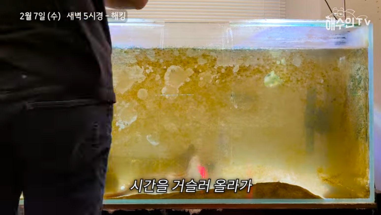 유튜브 계정이 3번이나 해킹 당한 이유 | 인스티즈