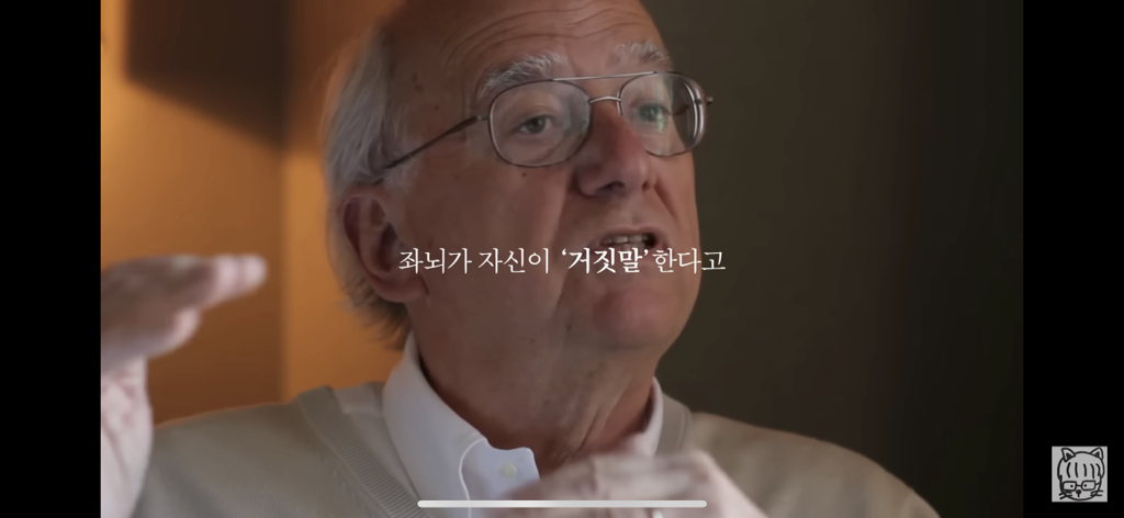 (스압)분리 뇌 실험 | 인스티즈