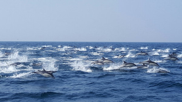 의외로 사람들이 직접 소리를 낸 브금 | 인스티즈