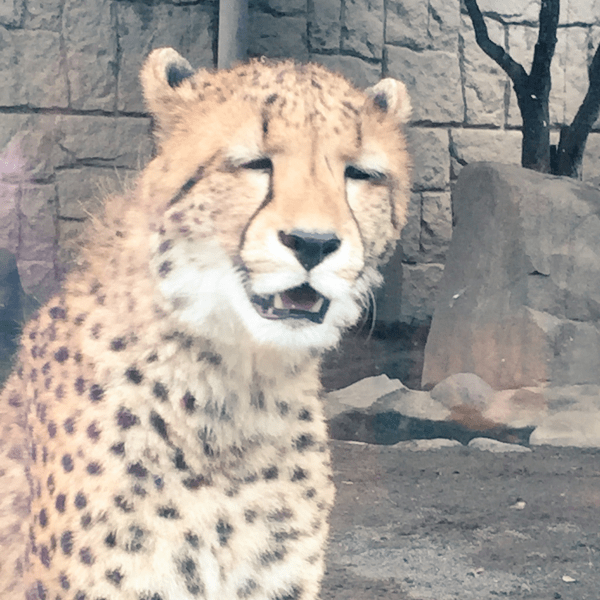 문학을 좋아하는 사람을 영어로 하면? | 인스티즈