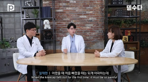 국내 소형견이 유독 슬개골 탈구가 많은 이유 | 인스티즈