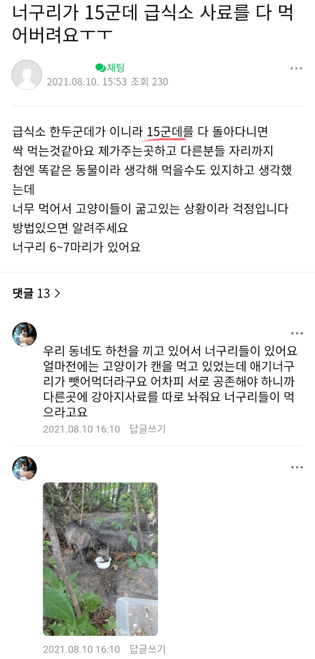 너구리 때문에 캣맘들 비상걸림.jpg | 인스티즈