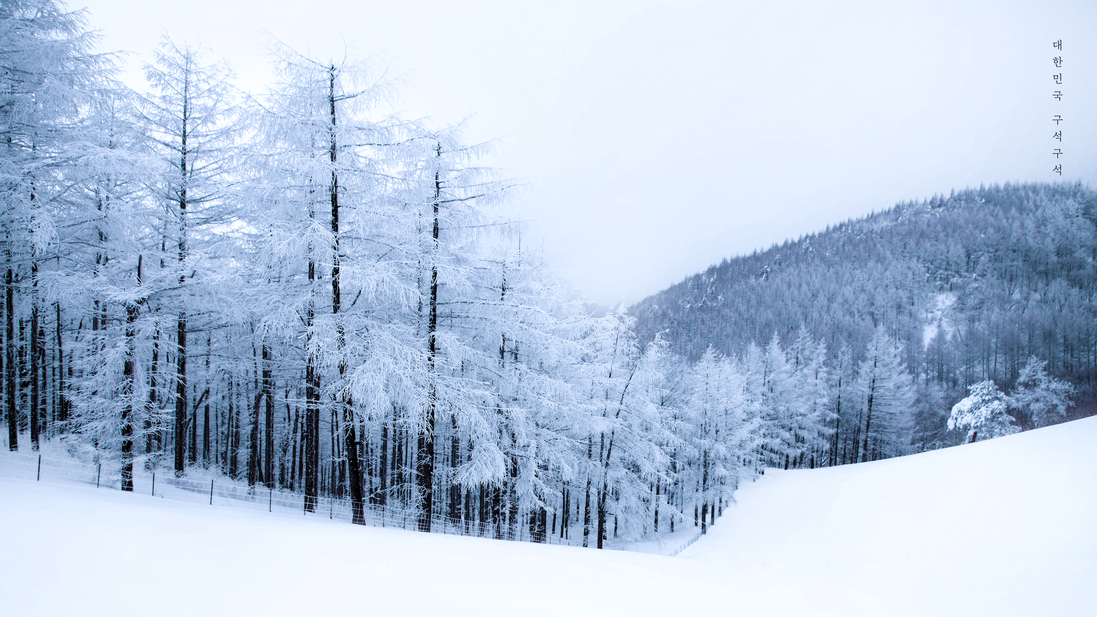 한국관광공사 공식 12월 월페이퍼 PC버전.jpg | 인스티즈