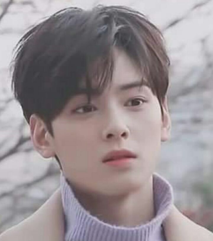 누구나가 인정하는 예쁜 아이돌 | 인스티즈