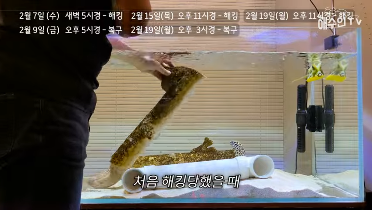 유튜브 계정이 3번이나 해킹 당한 이유 | 인스티즈