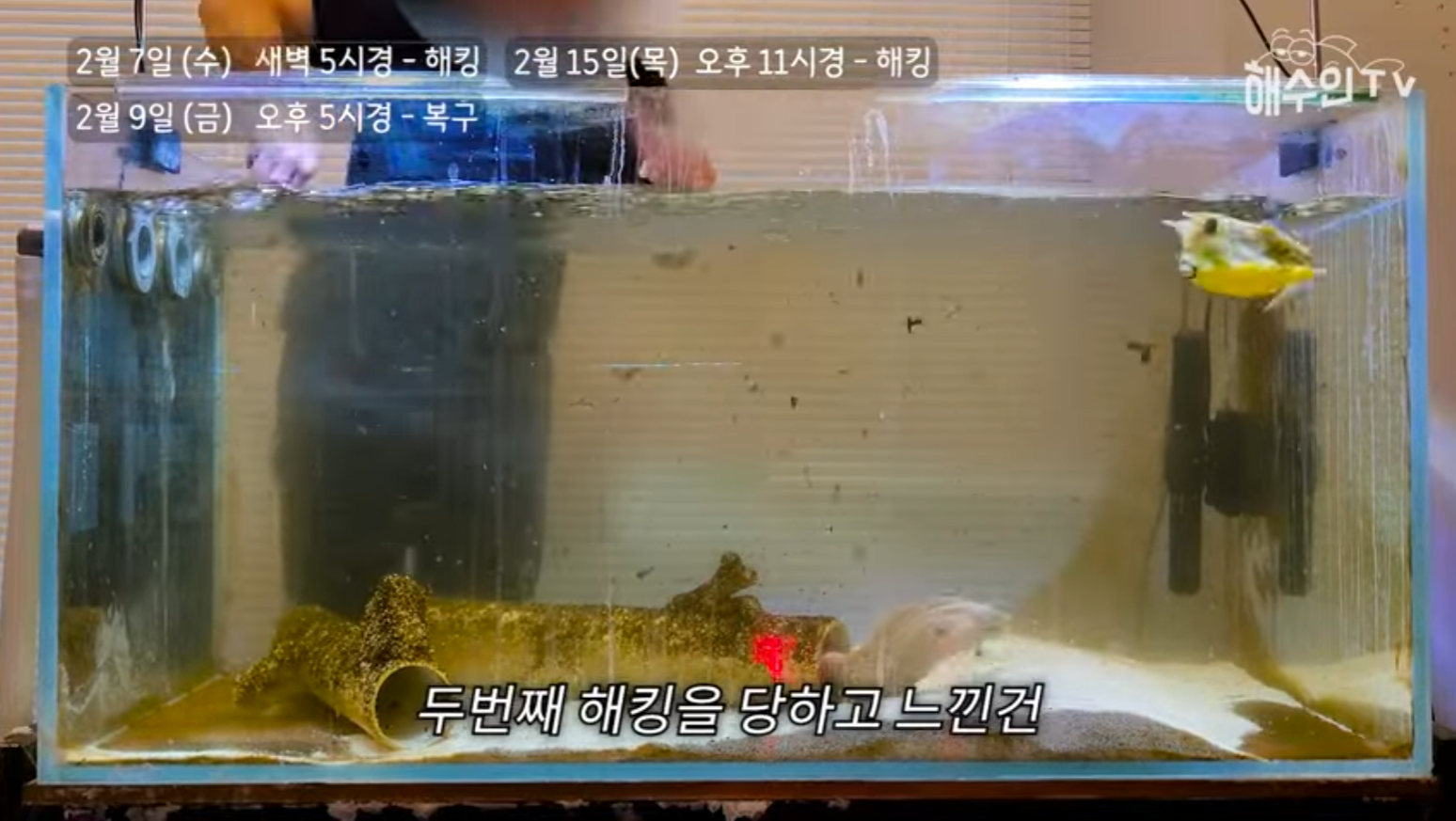 유튜브 계정이 3번이나 해킹 당한 이유 | 인스티즈