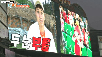 절대 못 이기는 눈싸움.gif | 인스티즈