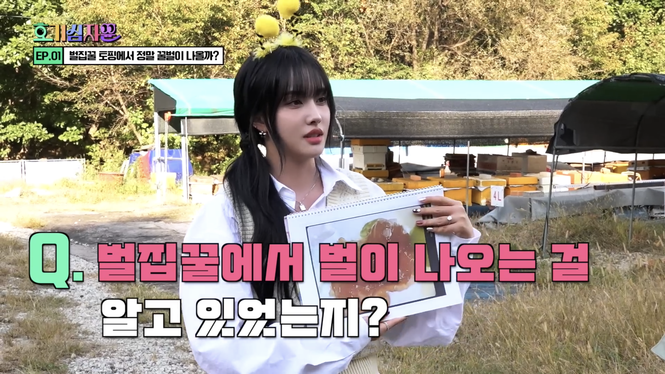 요거트 아이스크림 벌집꿀에서 나오는 벌의 정체............jpg | 인스티즈