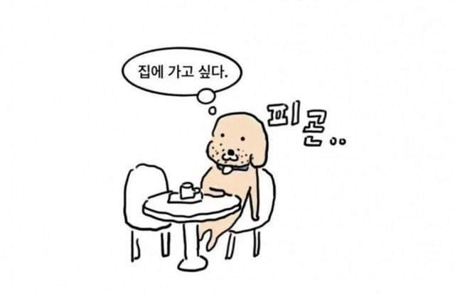 커피숍에서 커피 쟁반으로 옮길 때 드는 생각 | 인스티즈