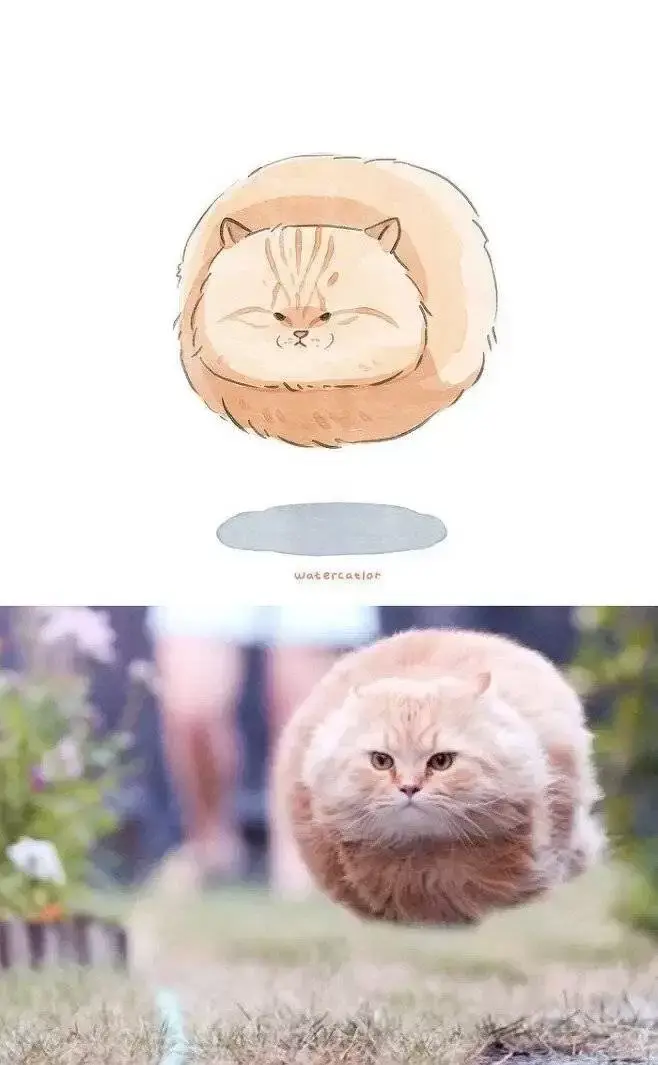 커여운 고양이 그림 | 인스티즈