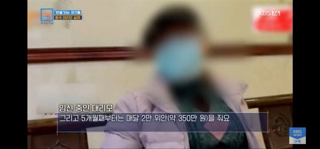 충격과 공포의 중국 대리모 시장 | 인스티즈