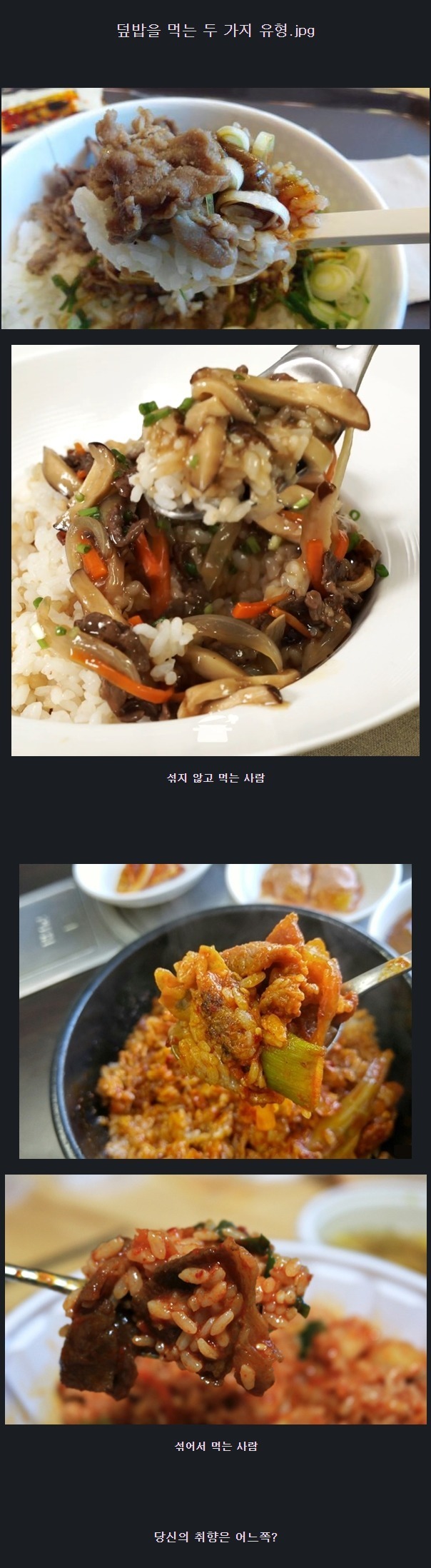 덮밥을 먹는 두가지 유형 | 인스티즈