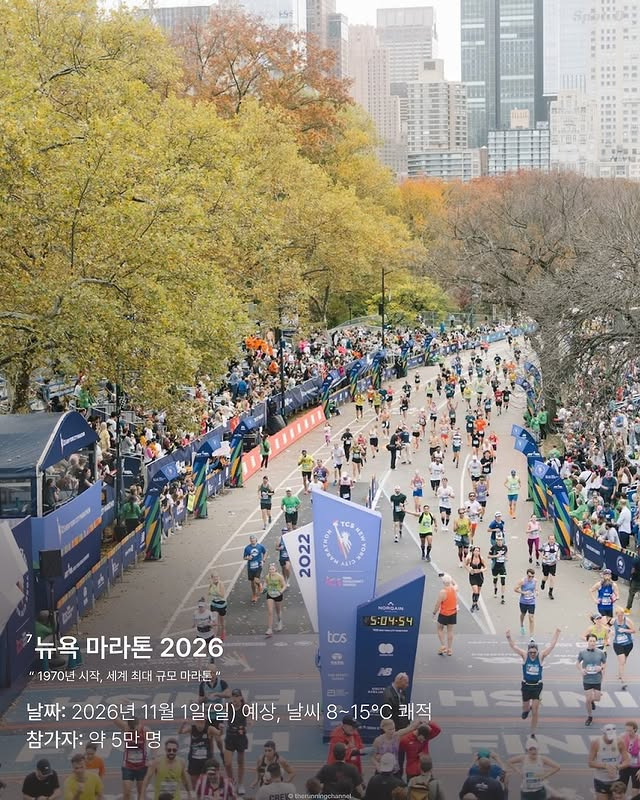 세계 7대 마라톤 | 인스티즈