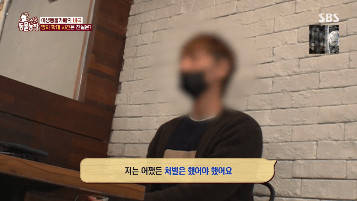 현재 난리난 동물농장에 나온 동물카페 사장.jpg | 인스티즈