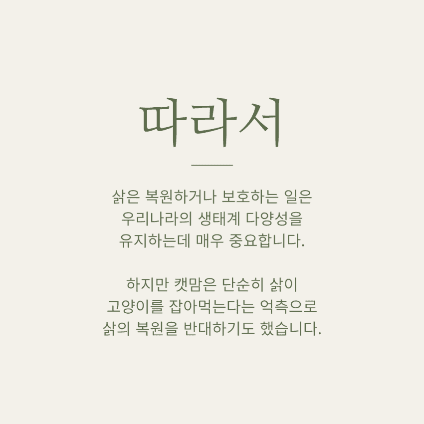 캣맘들 땜에 고통 받는 삵 근황 | 인스티즈
