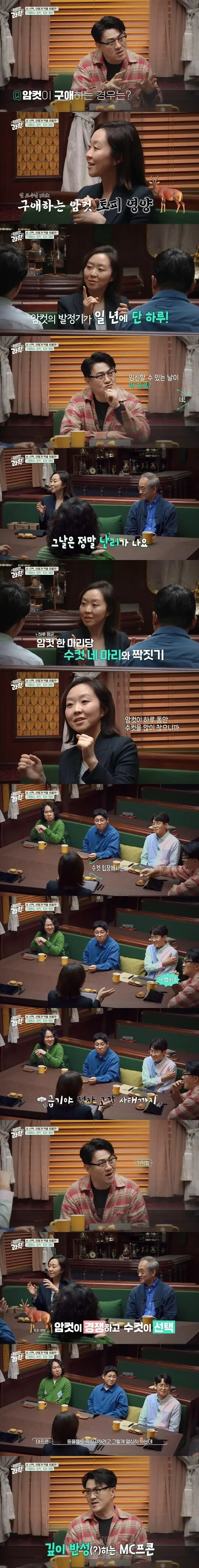 암컷 경쟁에 수컷 정액이 남아나질 않는다는 동물 | 인스티즈