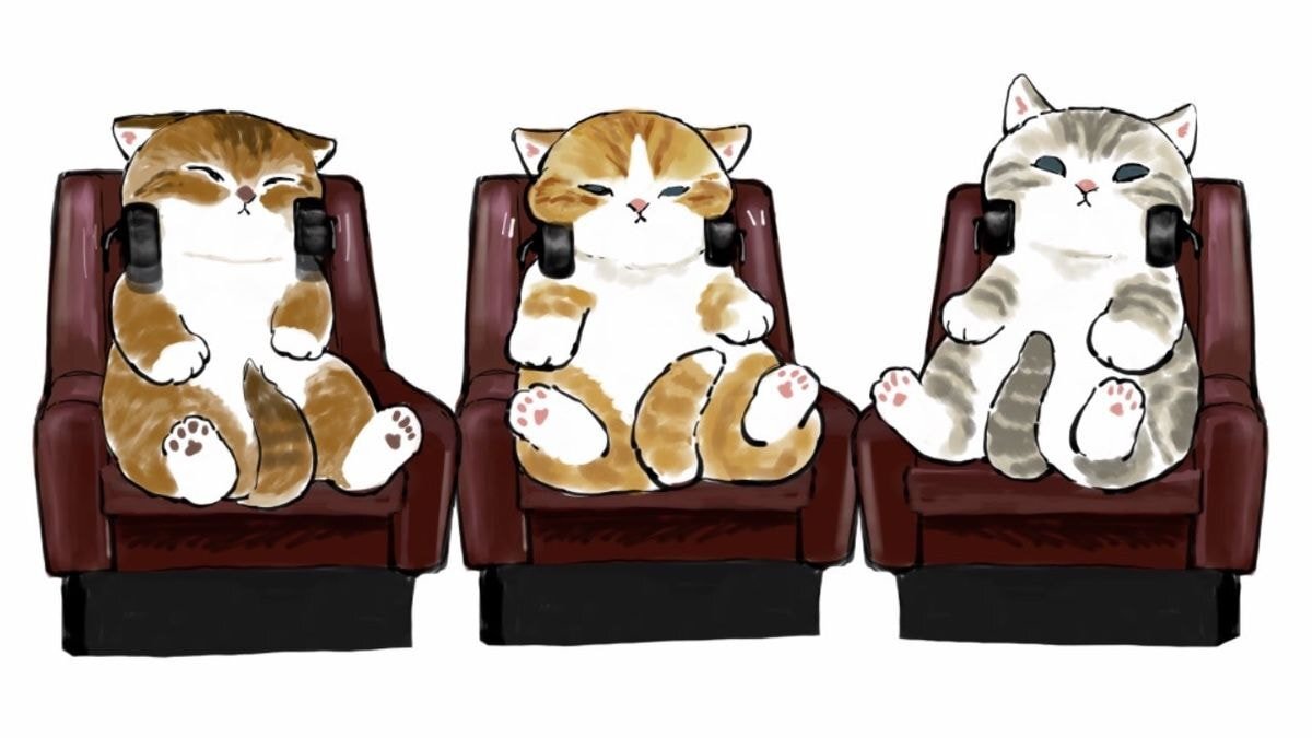 세상에서 고양이 제일 귀엽게 그리는 일러스트레이터 | 인스티즈