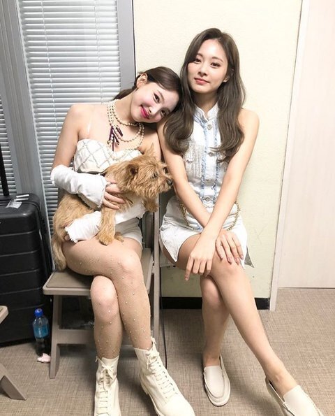 처음 보고도 뭐가 이상한지 알수없는 트와이스 사진 | 인스티즈