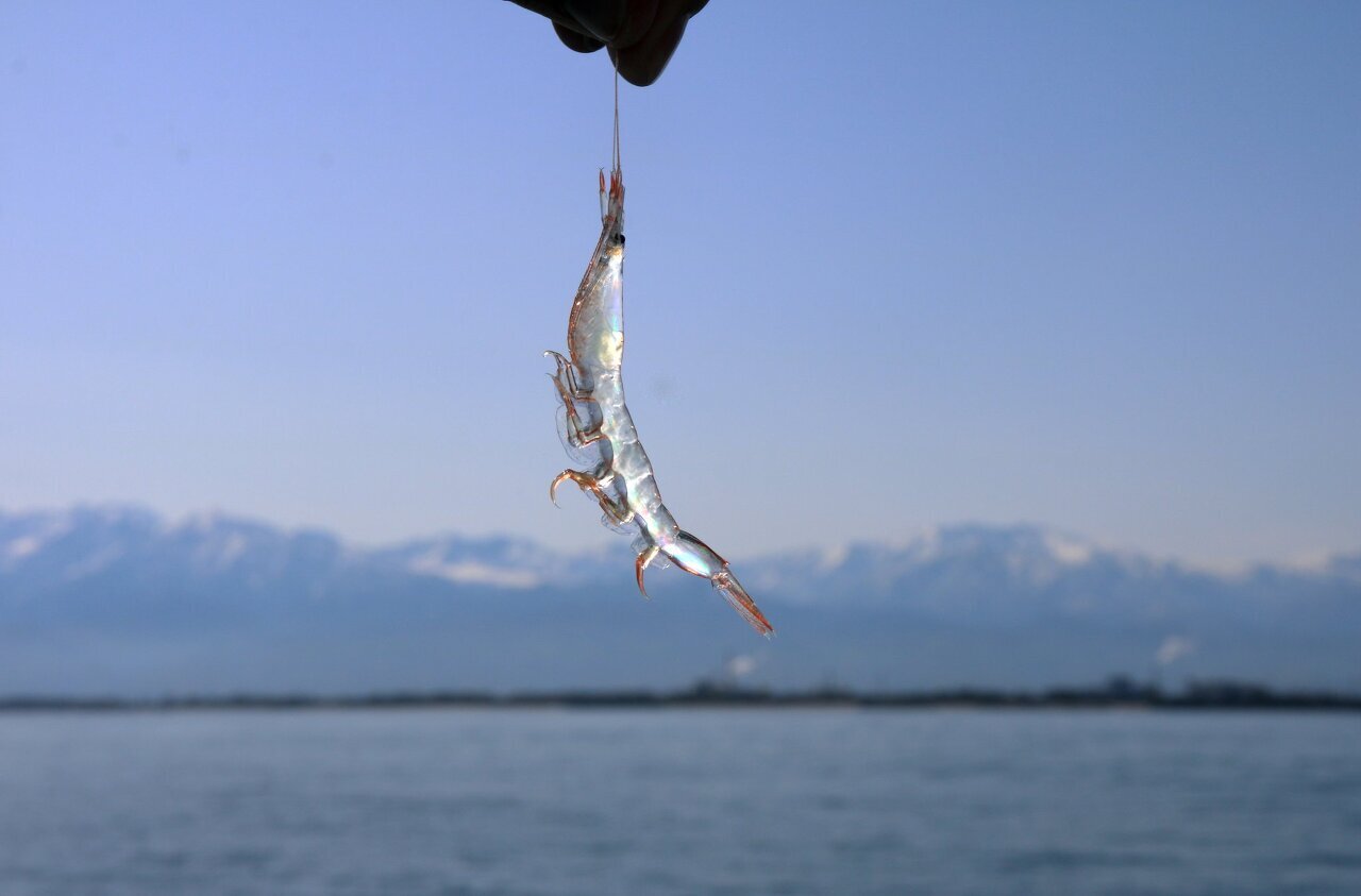 레딧의 질문 답변 페이지 8탄 | 인스티즈