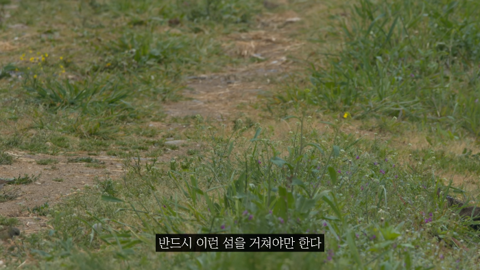 [사진100장스압] 고양이가 자연생태계에 끼치는 심각한 영향 | 인스티즈