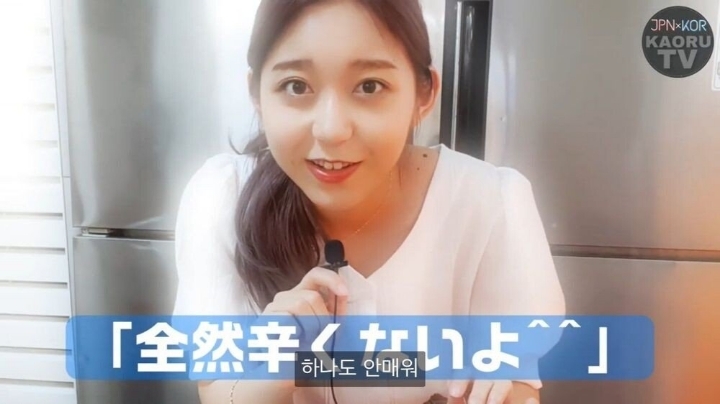 일본인이 믿으면 안되는 한국인의 말 1위 | 인스티즈
