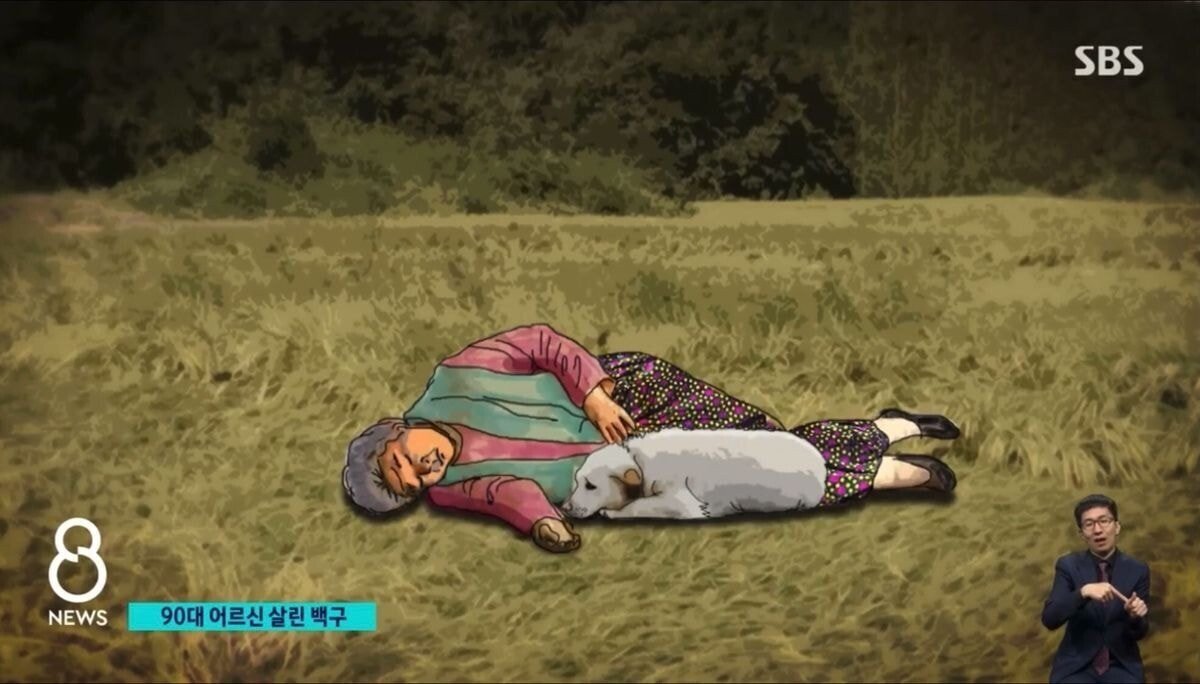 실종된 90대 할머니 살린 댕댕이 | 인스티즈