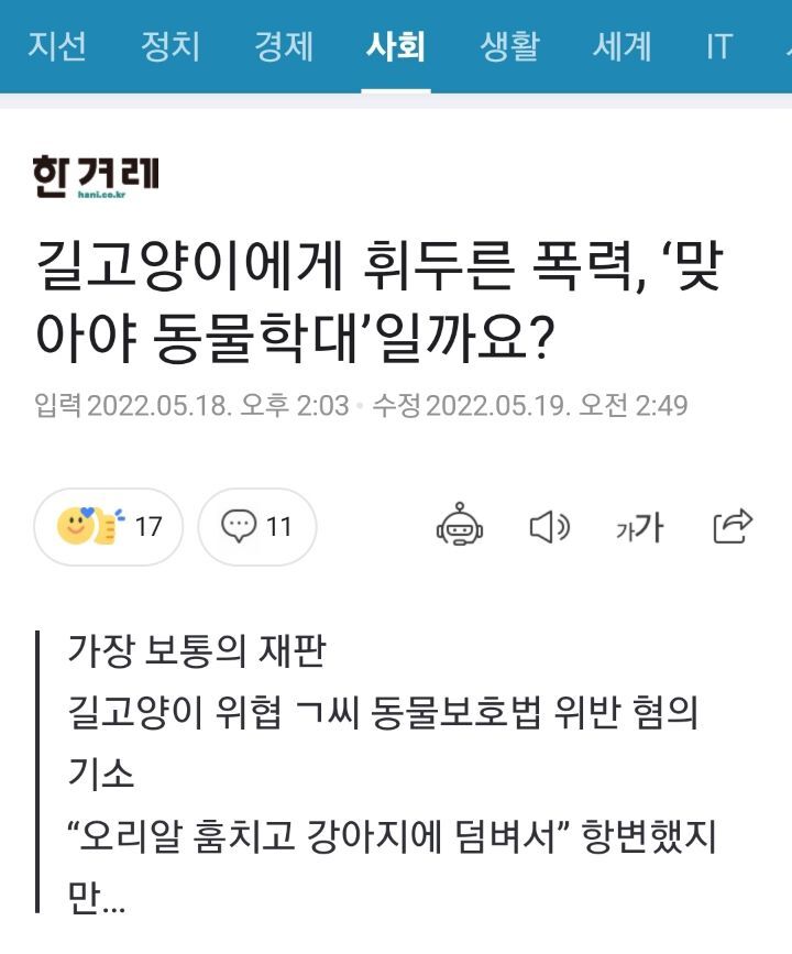 법원 : 물리적(직접적) 가해가 없었더라도 길고양이를 위협한 경우 벌금형 | 인스티즈